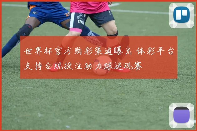 世界杯官方购彩渠道曝光 体彩平台支持合规投注助力球迷观赛